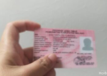 KTP Pink Untuk Siapa? Simak Penjelasannya