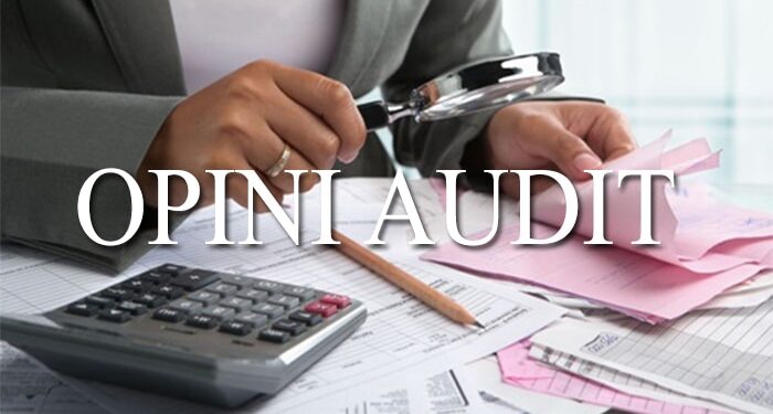 Opini Audit: Faktor yang Mempengaruhi dan Tahapan Proses Audit