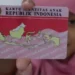 Panduan Pembuatan KTP Pink untuk Anak, Ini Syaratnya
