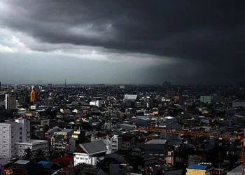 Pahami Pola Keruangan Kota: Jenis, Ciri, dan Teori Struktur Kota