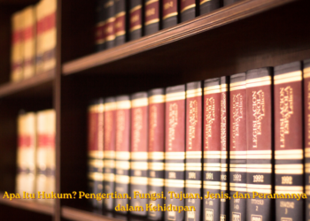 Apa Itu Hukum? Pengertian, Fungsi, Tujuan, Jenis, dan Peranannya dalam Kehidupan
