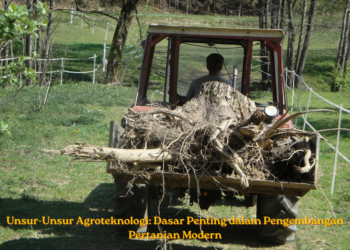 Unsur-Unsur Agroteknologi: Dasar Penting dalam Pengembangan Pertanian Modern