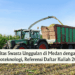 4 Universitas Swasta Unggulan di Medan dengan Jurusan Agroteknologi, Referensi Daftar Kuliah 2026