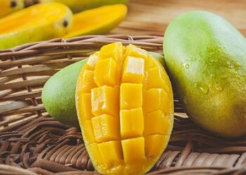 Apa Itu Manfaat Mangga bagi Kecantikan?