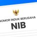 Cara Membuat NIB untuk UMKM, Berikut Langkah-Langkahnya