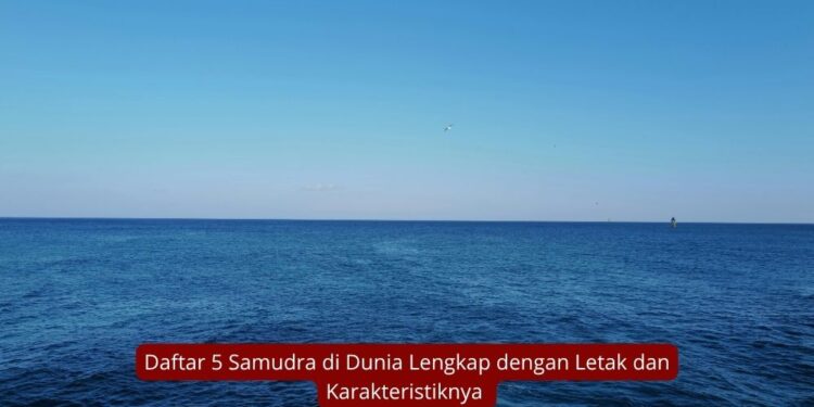 Daftar 5 Samudra di Dunia Lengkap dengan Letak dan Karakteristiknya