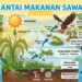 Perbedaan Rantai Makanan dan Jaring-Jaring Makanan