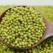 5 Manfaat Kacang Hijau untuk Kesehatan Tubuh yang Jarang Diketahui