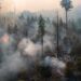 Mengapa Kebakaran Hutan Bisa Terjadi Ini Penyebab dan Dampaknya