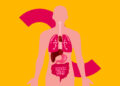 Apa Itu Metabolisme? Pengertian, Jenis, dan Prosesnya