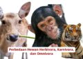 Perbedaan Hewan Herbivora, Karnivora, dan Omnivora