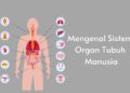 Pengertian Sistem Organ, Fungsi, Jenis, dan Contohnya