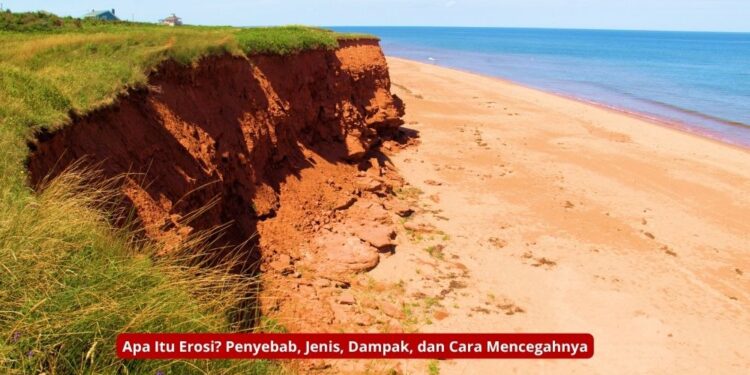 Apa Itu Erosi? Penyebab, Jenis, Dampak, dan Cara Mencegahnya