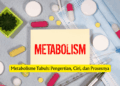 Metabolisme Tubuh: Pengertian, Ciri, dan Prosesnya