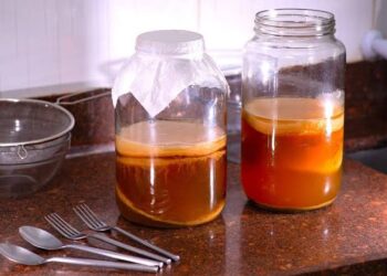 Manfaat Kombucha untuk Pencernaan dan Kesehatan Tubuh
