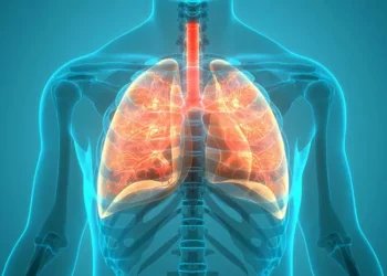 Organ Pernapasan Manusia dan Fungsi Setiap Bagiannya