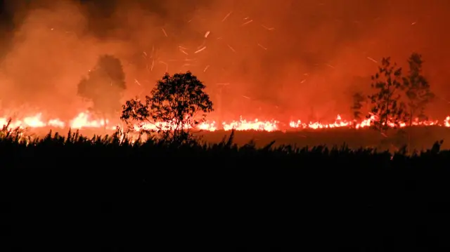 10 Dampak Karhutla bagi Lingkungan dan Kesehatan, Apa Saja?