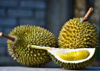 Manfaat Buah Durian