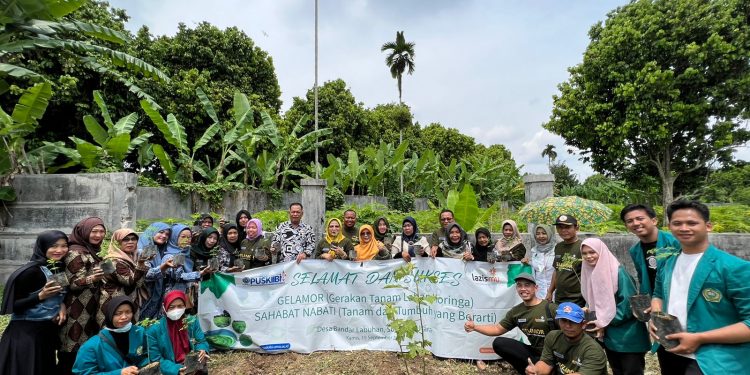‘Gelamor’ Lazismu Program, PUSKIIBI UMSU Performs Moringa Planting in Bandar Labuhan Village