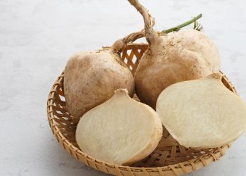 Manfaat Bengkoang Untuk Kesehatan Tubuh, Wajah, dan Ibu Hamil