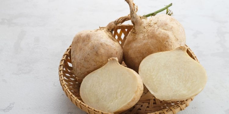 Manfaat Bengkoang Untuk Kesehatan Tubuh, Wajah, dan Ibu Hamil