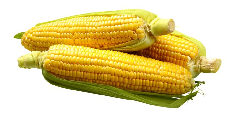 Manfaat Jagung Untuk Kesehatan