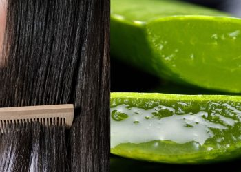 Manfaat Lidah Buaya Untuk Rambut