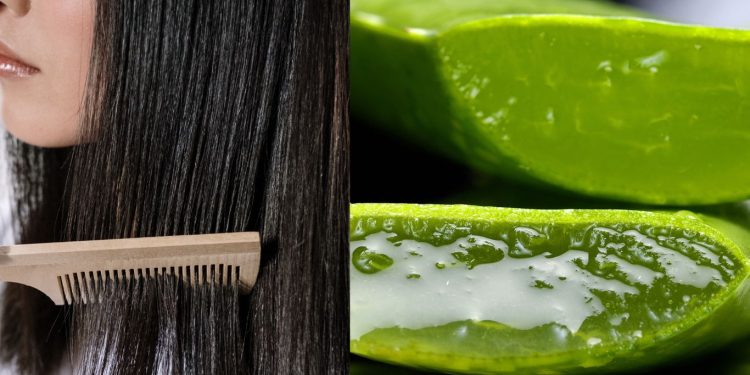 Manfaat Lidah Buaya Untuk Rambut
