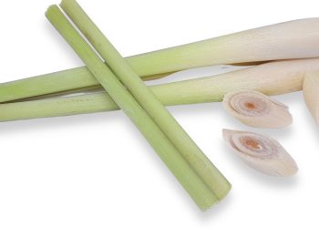 Manfaat Sereh Untuk Kesehatan Tubuh