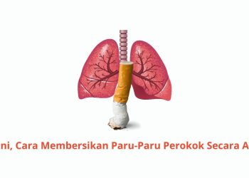 Begini, Cara Membersikan Paru-Paru Perokok Secara Alami