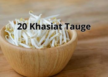 Tidak Hanya Enak, Tapi Juga Penuh Manfaat untuk Kesehatan! Berikut 20 Khasiat Tauge