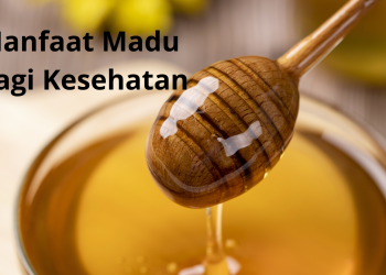 Manfaat Madu Bagi Kesehatan
