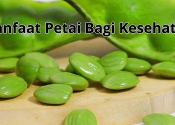 Manfaat Petai Bagi Kesehatan
