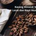 Kacang Almond: Makanan Lezat dan Kaya Akan Manfaat