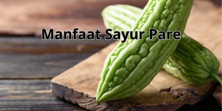 20 Manfaat Luar Biasa dari Sayur Pare untuk Kesehatan Tubuh Anda