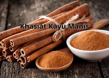 Khasiat Kayu Manis Untuk Kesehatan: Aroma Harum yang Menyehatkan