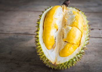 Selain Kelezatannya, Durian Menyimpan Beragam Manfaat Kesehatan: 18 Keuntungan bagi Tubuh