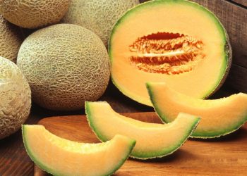 Manfaat Buah Melon Untuk Kesehatan Tubuh yang Optimal