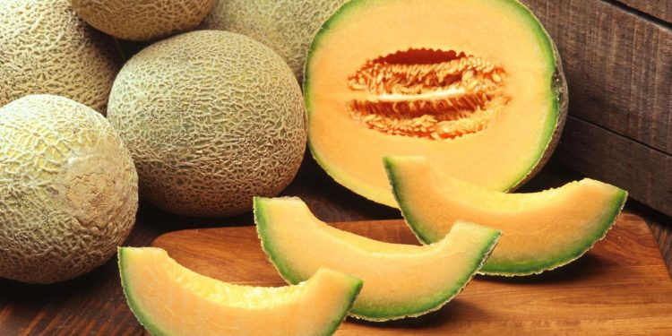 Manfaat Buah Melon Untuk Kesehatan Tubuh yang Optimal