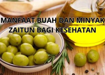 Manfaat Luar Biasa Buah Zaitun dan Minyak Zaitun untuk Kesehatan Tubuh dan Kulit