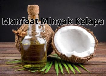 Manfaat Minyak Kelapa untuk Kesehatan dan Kecantikan