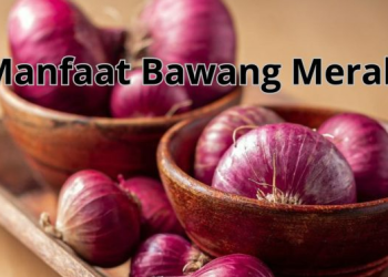 Manfaat Bawang Merah Bagi Kesehatan: Sebuah Harta Dapur yang Luar Biasa