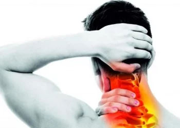 Buah Penurun Kolesterol: Pilihan Sehat untuk Menjaga Kesehatan Jantung