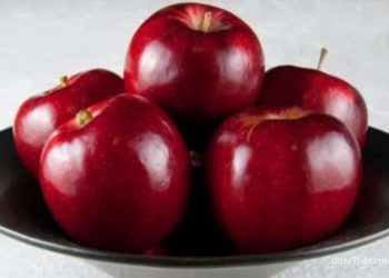 10 Manfaat Apel Bagi Kesehatan: Lebih dari Sekadar Buah Manis