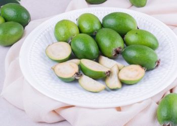 manfaat buah bidara untuk kesehatan tubuh