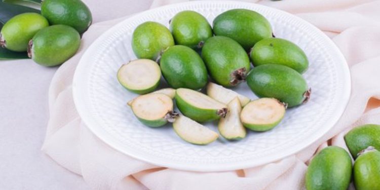 manfaat buah bidara untuk kesehatan tubuh