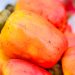 manfaat jambu monyet