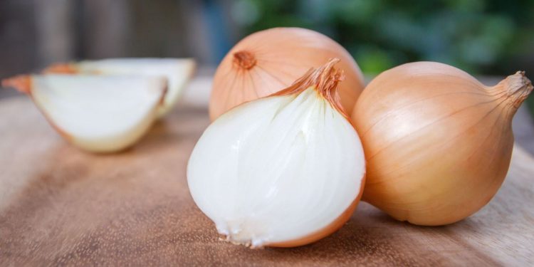 Manfaat Luar Biasa Bawang Bombay bagi Kesehatan Tubuh