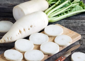 Manfaat Luar Biasa Lobak bagi Kesehatan: Tumbuhan Ajaib yang Harus Diperhatikan