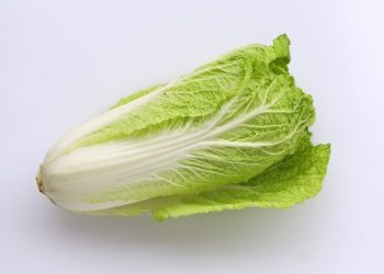 Mengungkap Manfaat Sawi untuk Kesehatan: Melihat Kandungan Nutrisi dan Keajaiban Sayuran Hijau